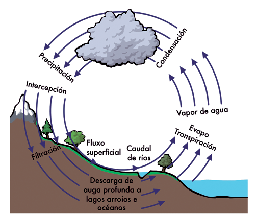 O ciclo hidrolóxico