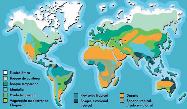 Evidencias e impactos do cambio climático nos biomas.